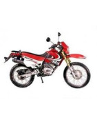 Enduro Big Runner 125 (ZL125GY-A)