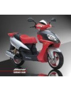 Scooter Shenke JSD125T-10 (MA)