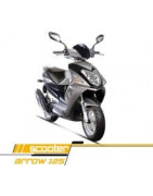 Arrow 125  (LINTEX HT125T-27)