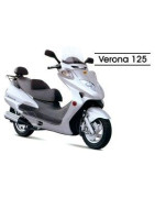 Verona 125 (MS12) ZhongNeng ZN125T-11