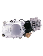 MOTOR - 1P52FMH-D 110cc Dax