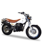 SURF VR250