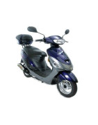 ZS50QT-4 (4t) (SJ)