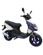 YY125T-6 (MG12-B09)