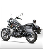 ZN125-6 STORM (Custom Twin)