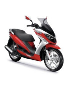 YB125T-23 (16')
