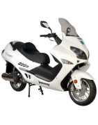 Ranger 125
