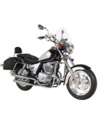 LF250-4 (Custom Twin)