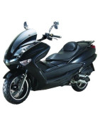 TITAN 3 125cc - SANYOU SY150T-5 (150cc)
