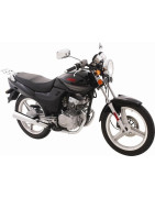 ZS125-4 (CB125T - Bicilindrico)