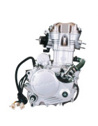 120cc-125cc