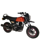 LIFAN PONY 100 / SURF 100 (LF100-C)