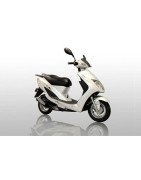 LIFAN S-JOY 50 4t (LF50QT-2B)