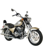 Custom West 250cc (bicilindr.)