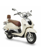 Neco Borsalino Euro 3 125 (ZN125T-E) 2006-16 Carburacion