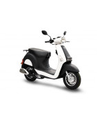 Neco Lola 50 4t (ZN50QT-D)