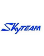 SKYTEAM