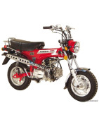 DINGO LF110