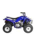 Quad ATV110 Loncin LX110ST-2A
