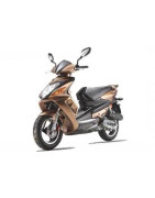 Feiling LF50QT-31