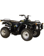 Quad GOBI 250 - E2 (Bicilindrico)