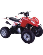 Quad MRQ 250 (Refrig. Agua)
