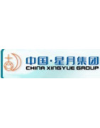 XINGYUE-GSMoon
