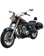  Zentaurus Raider 125 Bicilindrica ( Jinlun JL125-11)