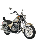 Zentaurus Raider 250 Bicilindrica (Jinlun JL250-5)