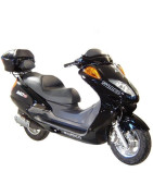 Scooter Maxi Urban 125 (MS12)