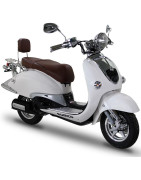 ZNEN ZN125T-E Retro  2006-16 Carburation Euro 3