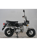 LIFAN DAX 110 S10 (LF110GY-3)